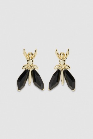 Patrizia Pepe Precious Fly Earrings With Stones Czarne | 5786BSGHE