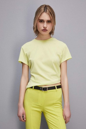 Patrizia Pepe Short-sleeved T-shirt With Logo In Organic Cotton Żółte | 7950HVOBQ